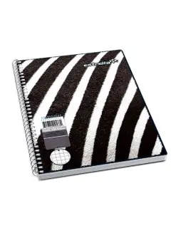 Cuaderno Estrella Frances Espiral C7 100H